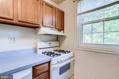 202 N Trenton St unit 2023, Arlington, VA 22203 - photo 7