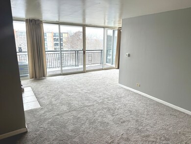 6010 Oakwood Dr unit 5D, Lisle, IL 60532 - photo 5