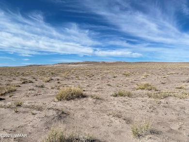 0 N Porter Rd unit 238403, Joseph City, AZ 86032 - photo 5