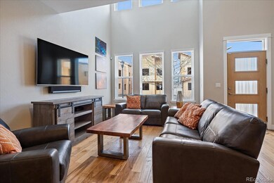 393 Osiander St, Fort Collins, CO 80524 - photo 3