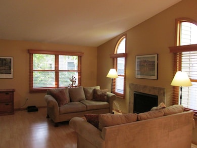 Gas fireplace in the living room