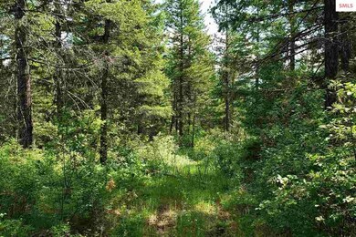 NNA Redtail Hawk Rd, Sandpoint, ID 83864 - photo 4