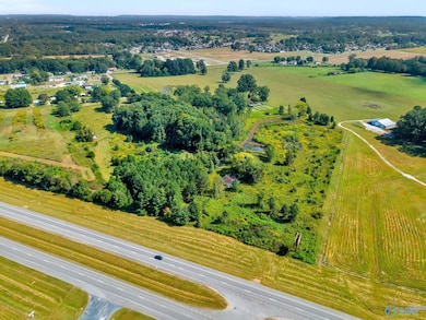 28 Acres 3117 Ridgeway Dr SW, Decatur, AL 35603 - photo 6