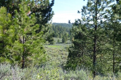 Wooded For Shade & Privacy