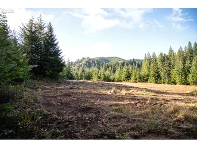 94053 Pleasant Valley Ln, Myrtle Point, OR 97458 - photo 7