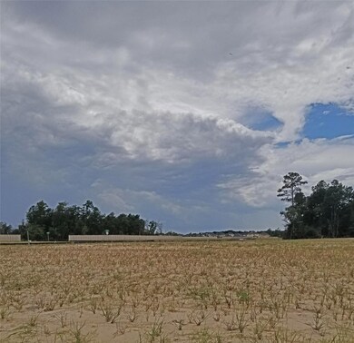 10918 Hillside Creek Dr, Humble, TX 77396 - photo 6