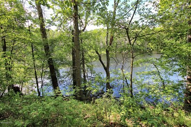 7981 Fletcher Road Greenville-large-005-