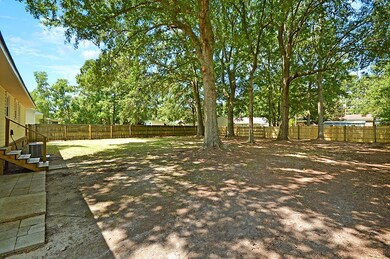 Huge Back Yard