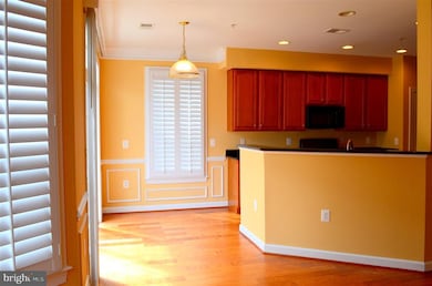 13626 Venturi Ln unit 171, Herndon, VA 20171 - photo 3