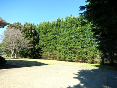 Collins 932 Colonial Dr back yard