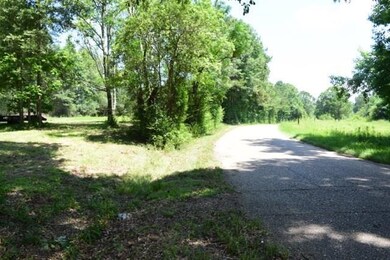 30228 Woodrow Magee Rd, Franklinton, LA 70438 - photo 4