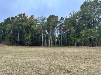 1 Yokum Trail, Many, LA 71449 - photo 2