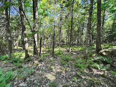 Lot 87 Langway Rd, Lyman, NH 03585 - photo 4