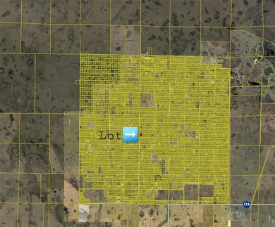 19140 NW 278th St, Okeechobee, FL 34972 - photo 3