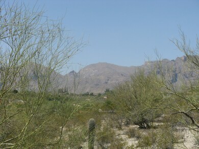 Close-up of welcoming Catalina Mtns