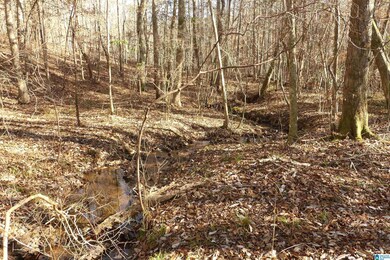 LOT # 9 Harbour Point Dr unit 9, Delta, AL 36258 - photo 3