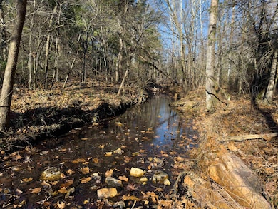 0 Pleasant Run Rd unit 25048737, Mammoth Spring, AR 72554 - photo 2