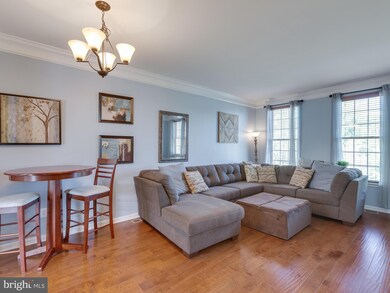 42800 San Sebastian Terrace, Chantilly, VA 20152 - photo 5