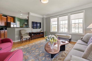 15 Morgan Dr unit 409, Natick, MA 01760 - photo 5