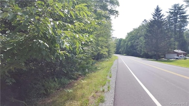0 State Route 42 Route unit KEY858708, Neversink, NY 12765 - photo 6