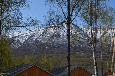 Mountain Views