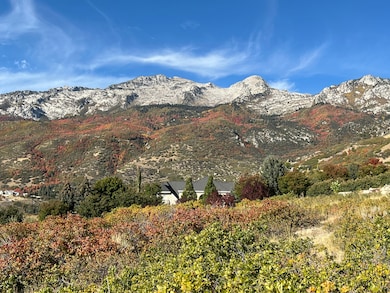 1653 N Rosanna Cir E, Alpine, UT 84004 - photo 5