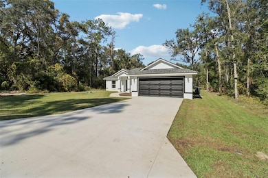 3 Sequoia Dr Trace, Ocklawaha, FL 32179 - photo 2