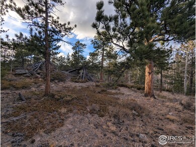 29 Santa Clara Ct, Red Feather Lakes, CO 80545 - photo 5