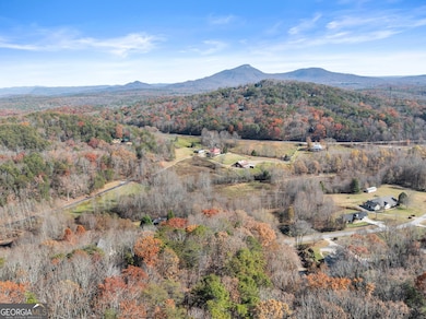 LOT 50 & 51 Meadow Crest Dr, Cleveland, GA 30528 - photo 4