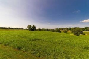 1610 U S 65, Harrison, AR 72601 - photo 2