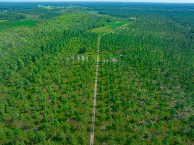 Hunting Swamp Rd, Conway, SC 29526 - photo 3