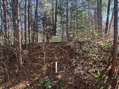 Lot 32 E Ridge Ln, Ellijay, GA 30536 - photo 4