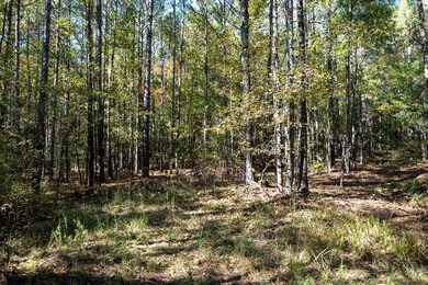 Undefined Scott Rd, Ellerslie, GA 31807 - photo 7