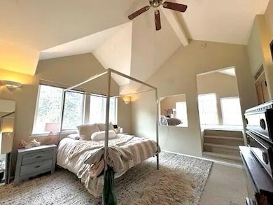 118 Alexander Overlook unit SV141, Telluride, CO 81435 - photo 6