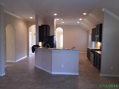 3518 Chestnut Grove Ln, Fulshear, TX 77441 - photo 6