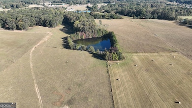 LOT 5 Mask Road - Hanner's Farm N, Brooks, GA 30205 - photo 2