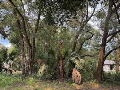 In front of the lot.