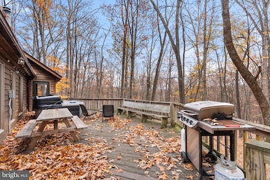 132 Bobcat Dr, Berkeley Springs, WV 25411 - photo 3