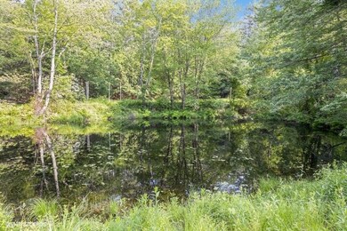 53 Pepperell Rd, Brookline, NH 03033 - photo 7
