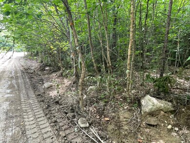 Eastern Property Pin (36-1 Partridge Lan