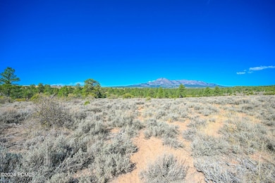 0 E Long Point Rd, Monticello, UT 84511 - photo 5