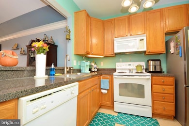 8608 Fluttering Leaf Trail unit 301, Odenton, MD 21113 - photo 4