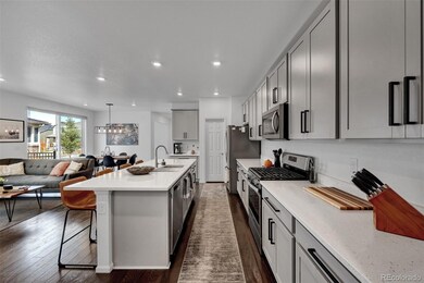 Large gourmet kitchen