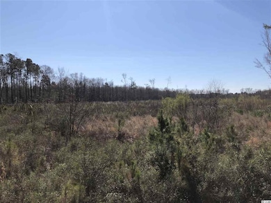 4000 Highway 19, Conway, SC 29526 - photo 4