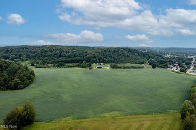 22141 Mcdaniel St, Minerva, OH 44657 - photo 6