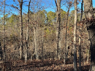 16 Johnson Ln, Bella Vista, AR 72715 - photo 4