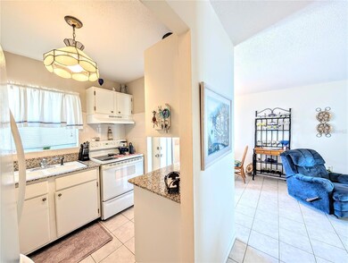 2453 Flamingo Blvd unit K33, Bradenton, FL 34207 - photo 7