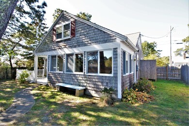 Back and Side Yard