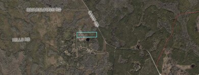 0 NE Hwy 51 unit 345707, Steinhatchee, FL 32359 - photo 3