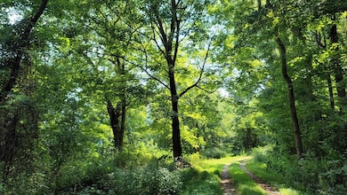 Conley Hill overlooking New River